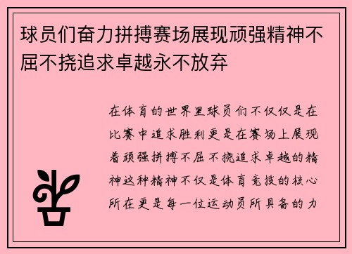 球员们奋力拼搏赛场展现顽强精神不屈不挠追求卓越永不放弃