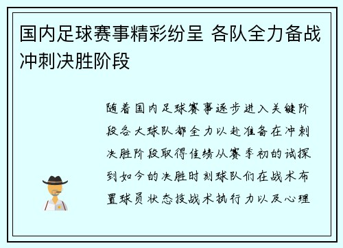 国内足球赛事精彩纷呈 各队全力备战冲刺决胜阶段