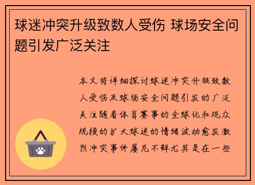 球迷冲突升级致数人受伤 球场安全问题引发广泛关注