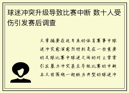 球迷冲突升级导致比赛中断 数十人受伤引发赛后调查